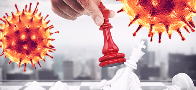 Winners and Losers in the Post Covid-19 Marketplace