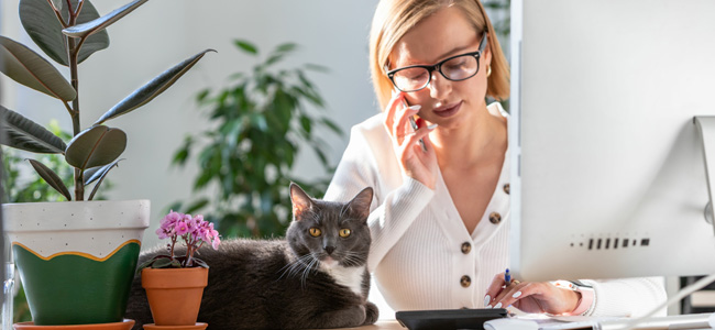 Employees Working from Home: What Tax Deductions Can You Claim?